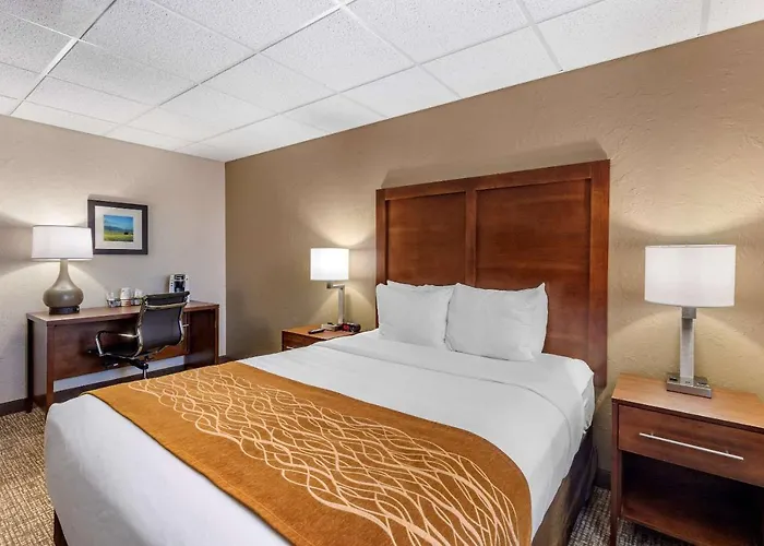 Comfort Inn Butte City Center I-15 - I-90