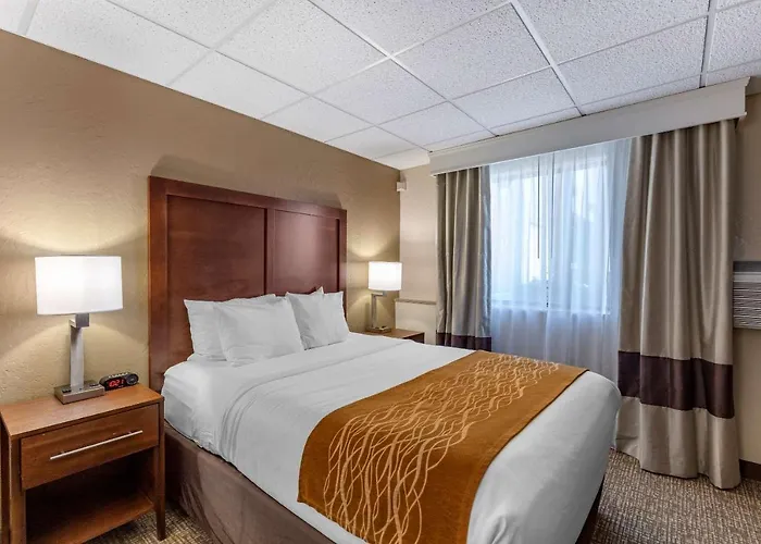 Comfort Inn Butte City Center I-15 - I-90